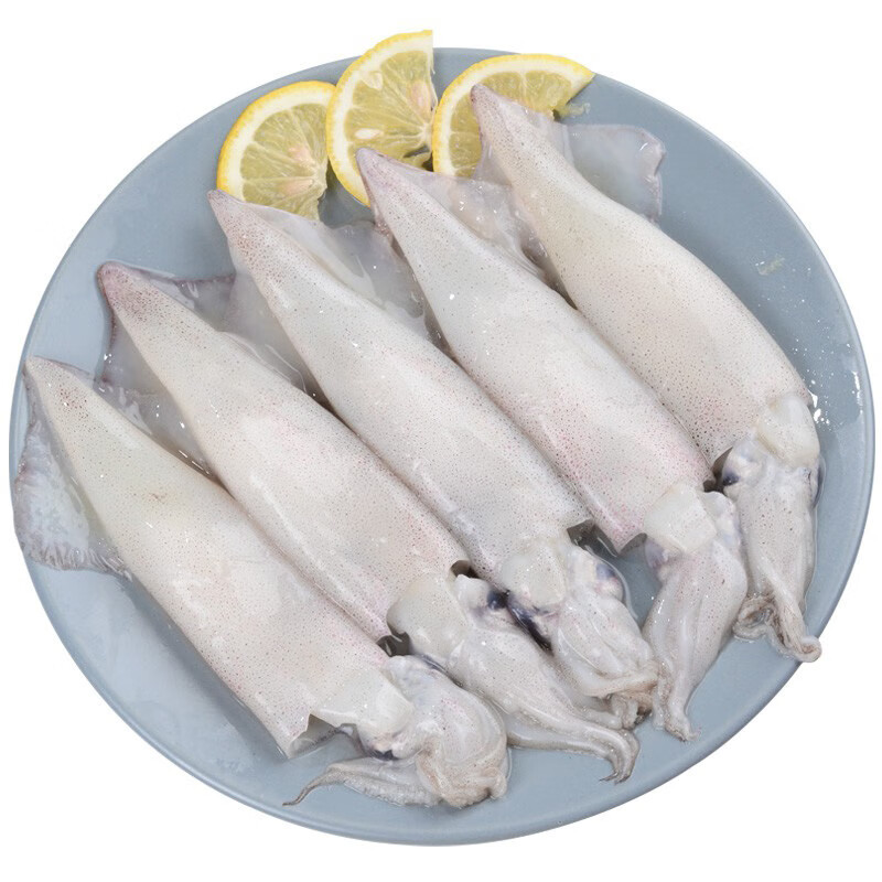 ANSON冷凍純海洋全籽籽烏凍鮮烏籽魚(yú)凍鮮筆管魚(yú)凍海兔凍烏賊魚(yú) 盒裝籽烏一盒28只(850g)