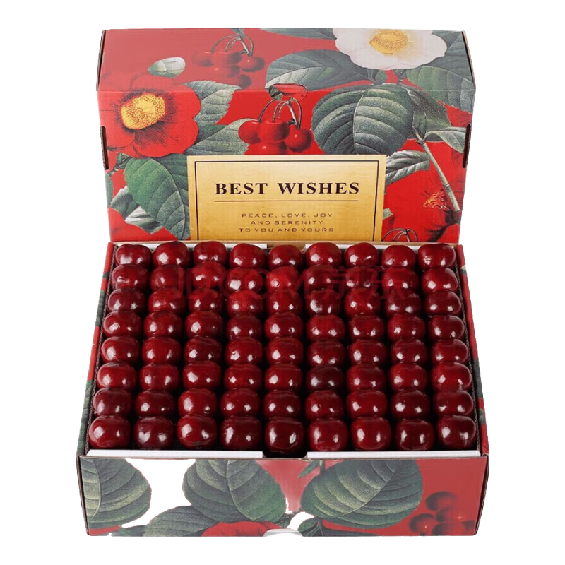 ���� ���������� ���꼶 4J ����12-15g 5�ﾻ�� ��ͥװ ������� 148Ԫ ����