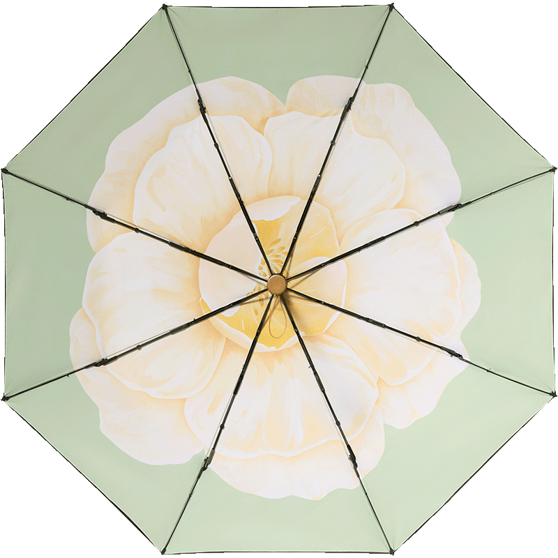 20�㿪ʼ��PLUS��Ա��Beneunder ���� �������� ����˫��ڽ�����ɡ BM664 ��ʽ��ѡ