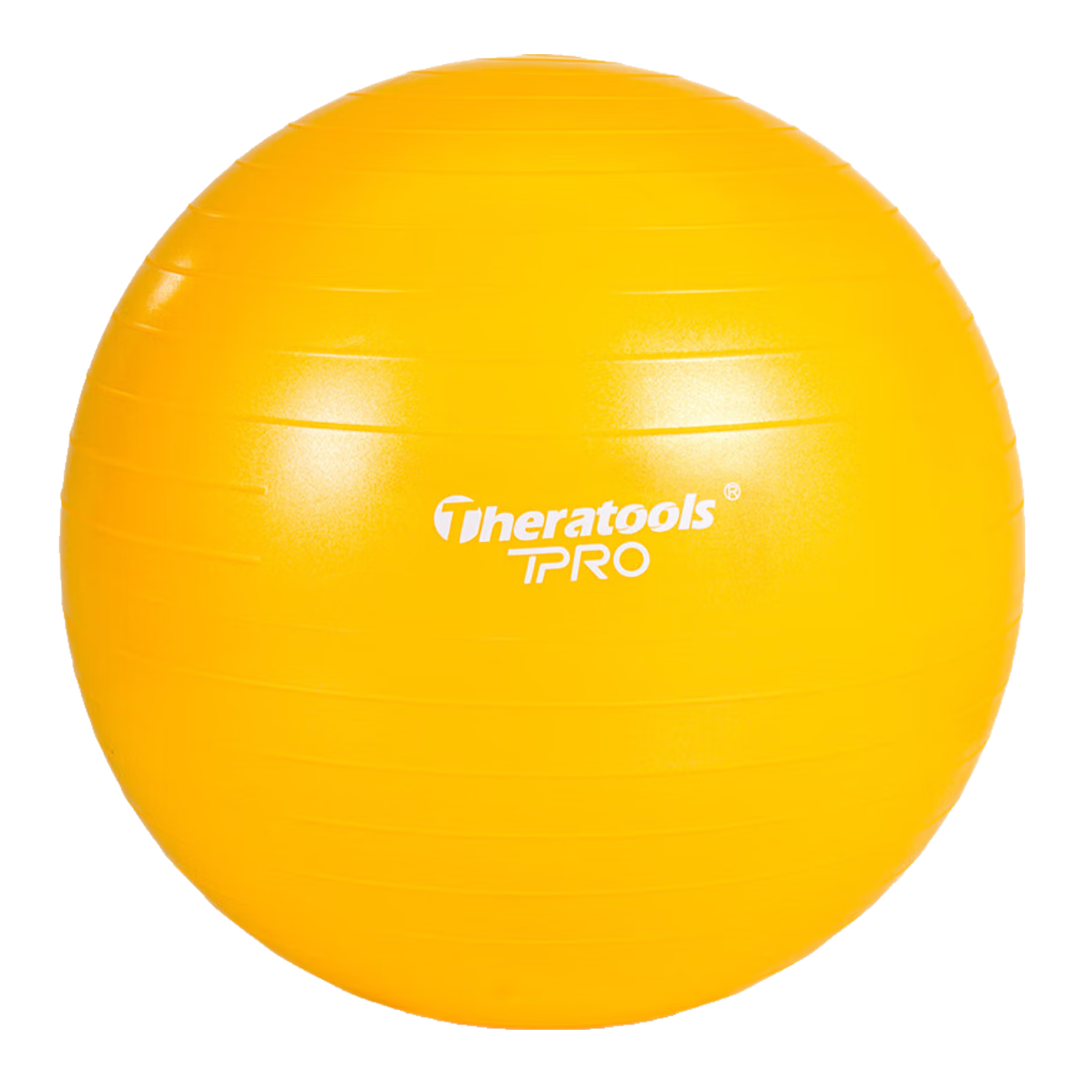 Theratools�����򿵸�ѵ���٤��55cmƽ����������������и��������ͯ��ͳ 4ֻ��װ 219Ԫ