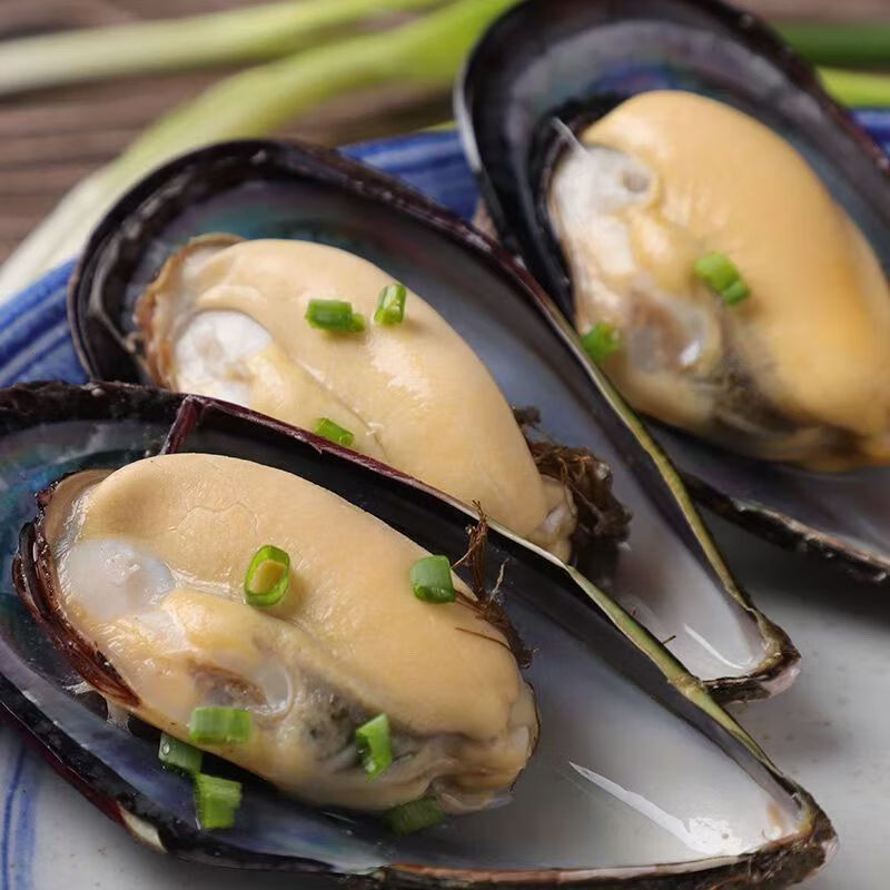 鹿凌青青口貝鮮活新鮮非特大海虹淡菜貽貝海紅海鮮水產(chǎn)生鮮貝類 【鮮活青口貝】 3斤(凈重)  15個(gè)左右/斤