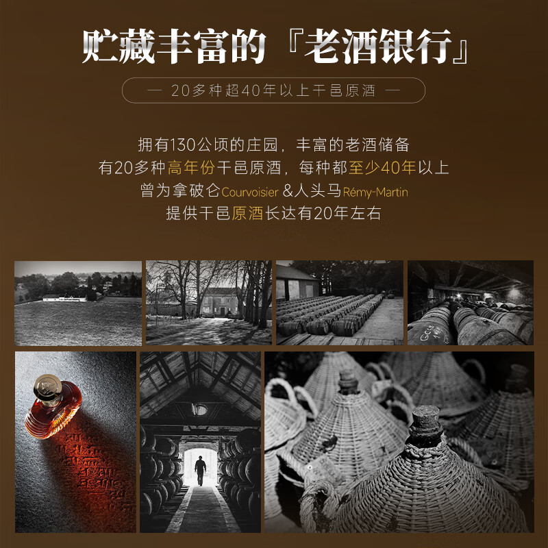 派斯顿法国进口洋酒白兰地XO礼盒40°烈酒原酒进口微醺自饮送礼调酒套装 路邑士XO白兰地 700mL 1瓶