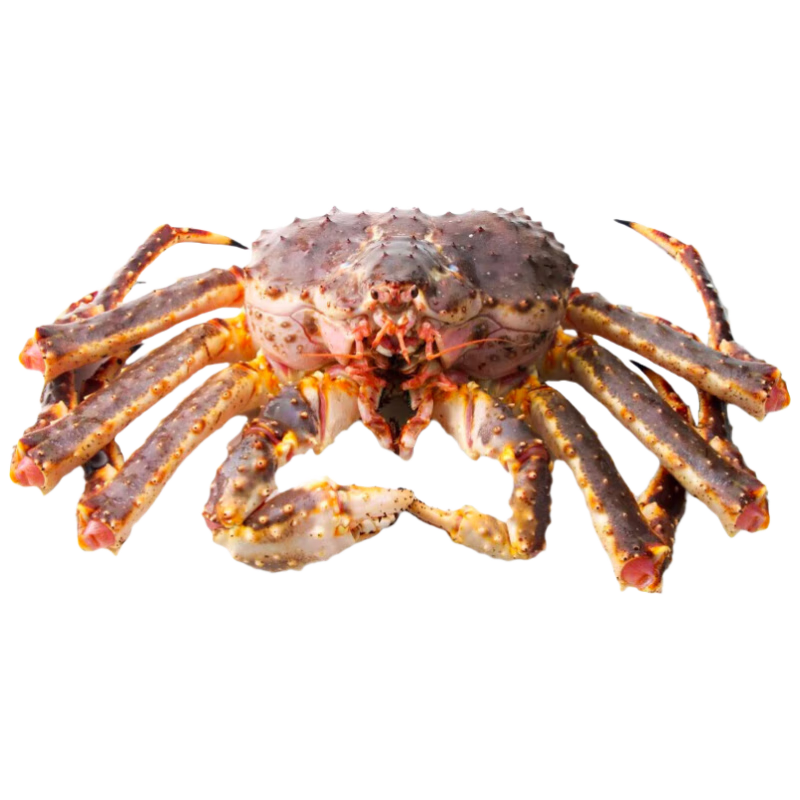 �ʾ��� ����ֱ�� �ʻ����˹����з3-4��/ֻ Դͷֱ�� ����