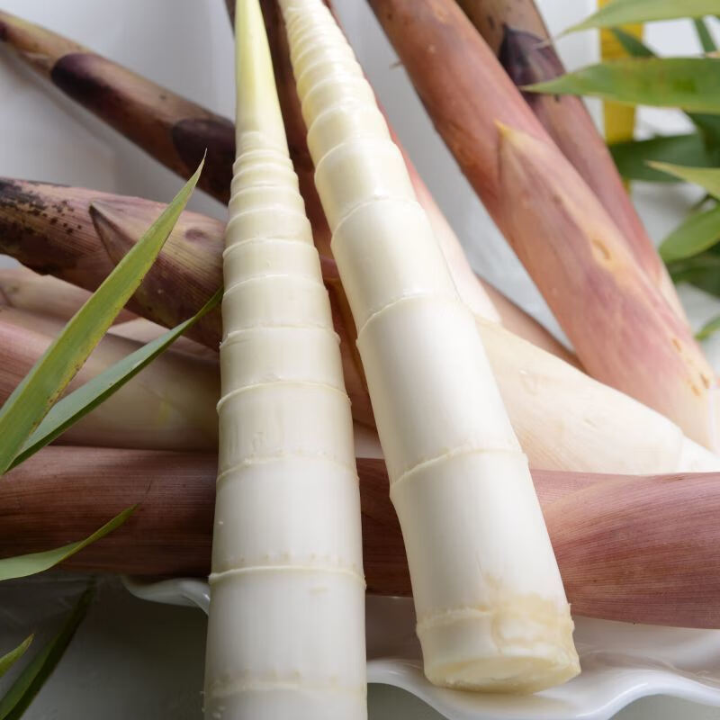 【顺丰冷链】浙江发货新鲜笋竹笋现挖雷竹笋春笋去老根正宗油焖笋 5斤精品矮胖雷竹笋