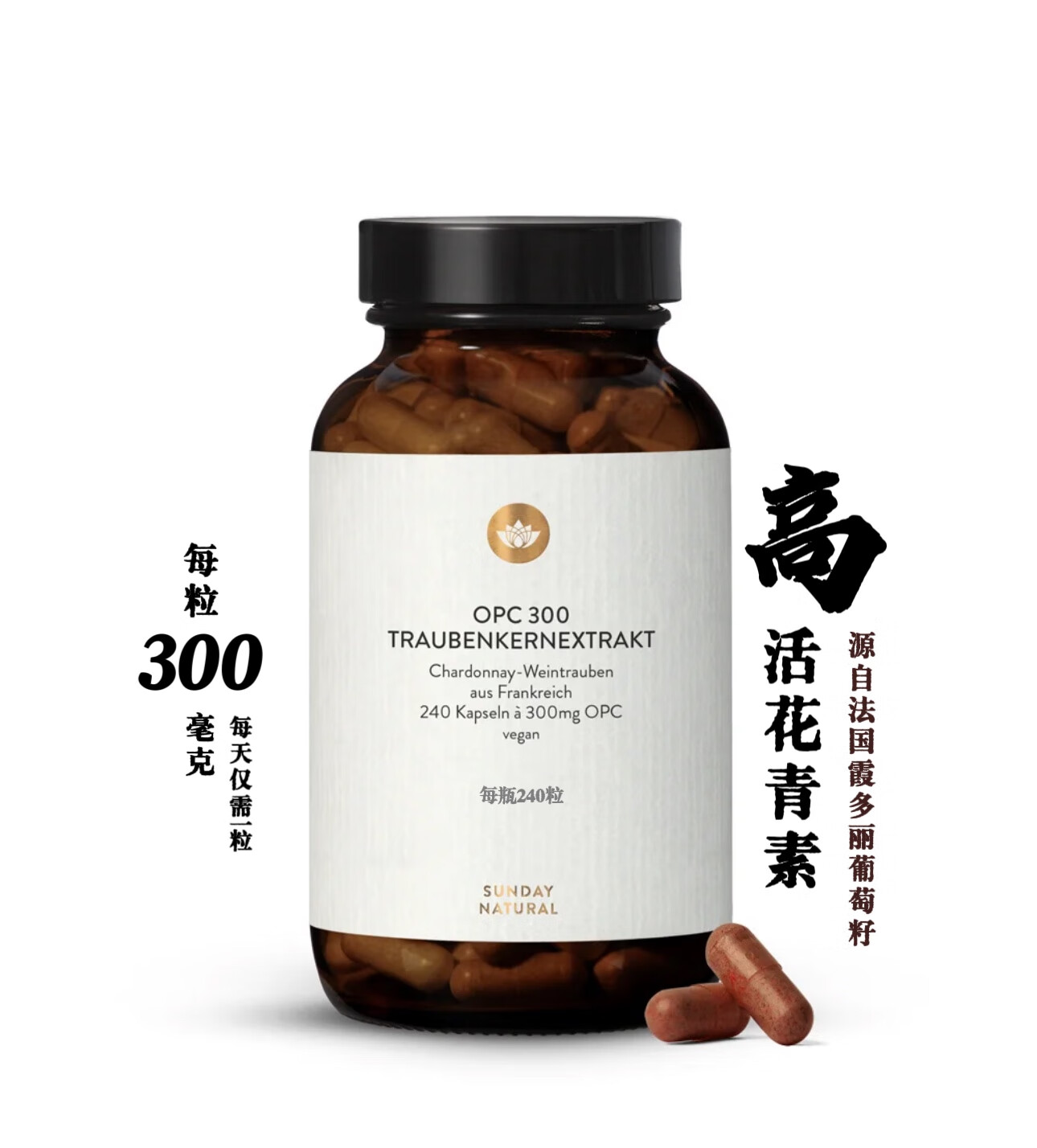 sunday natural法国葡萄籽花青素opc抑青光眼恶化抑脂养护心血管