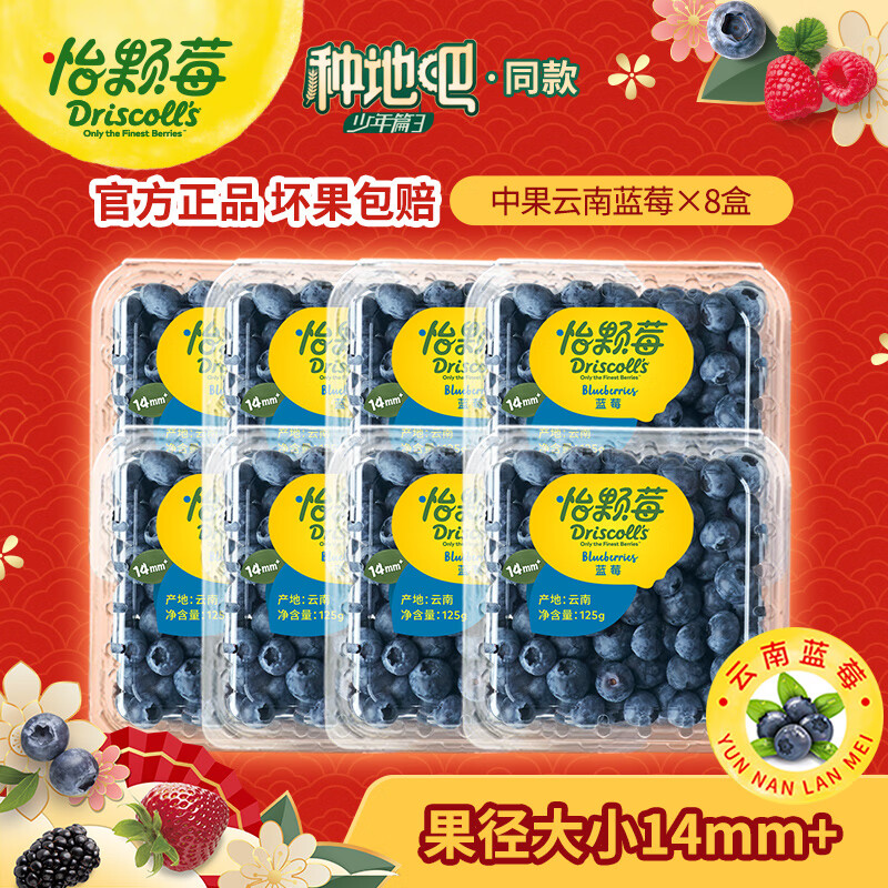 怡颗莓【芳芳馥郁】当季云南蓝莓 国产 新鲜蓝莓 生鲜水果 送礼 蓝莓中果125g*8盒