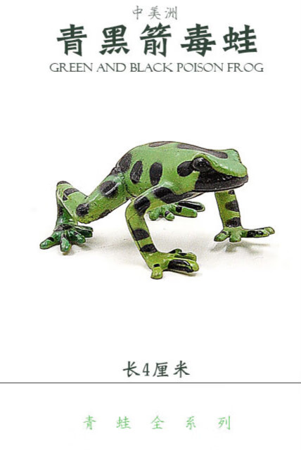 ql 仿真野生两栖动物青蛙全套系列树蛙林蛙箭毒蛙森林模型玩具爬行类