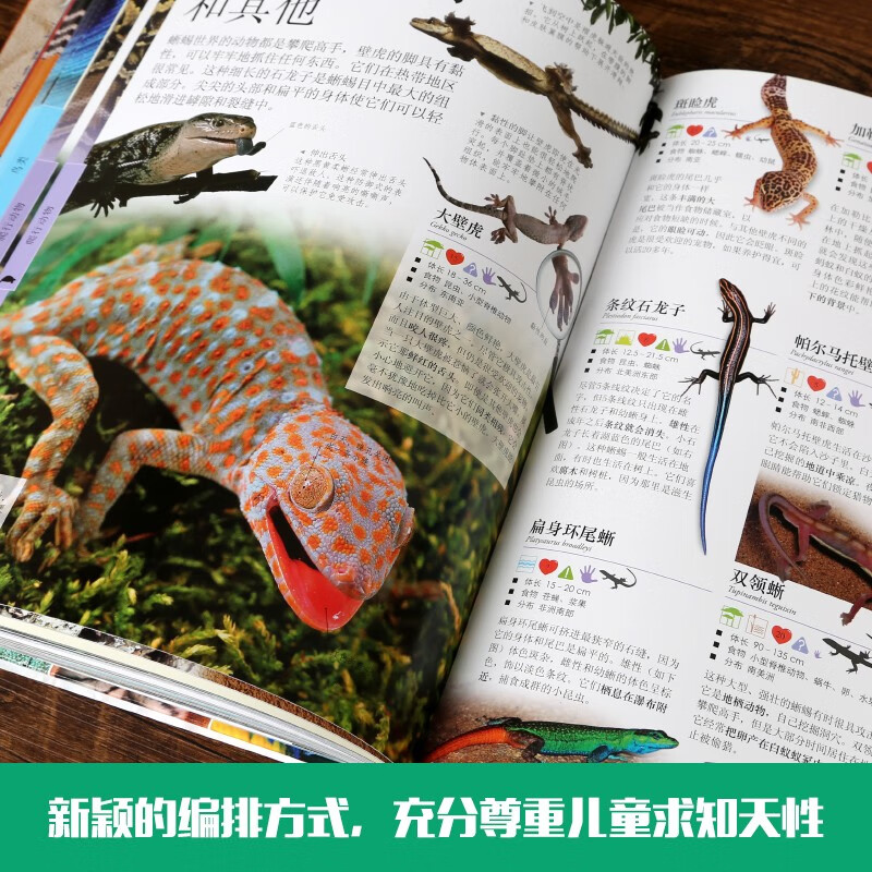 【正版包邮】dk儿童动物大百科全书 全彩精装版 3-6-12岁儿童科普百科