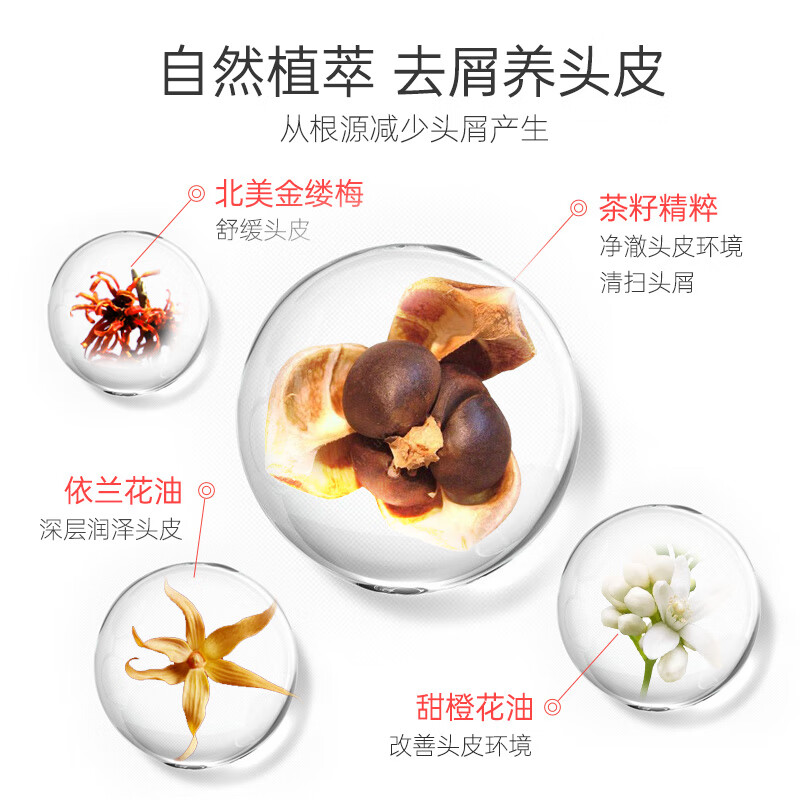滋源(seeyoung)洗发水露水杨酸控油去屑蓬松无硅油男女士洗头膏 馨香茶籽去屑洗发水400ml