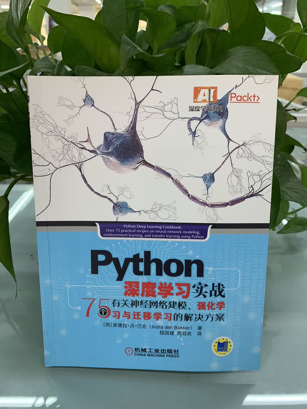 Python 深度学习实战：75个有关神经网络建模、强化学习与迁移学习的解决方案详情图