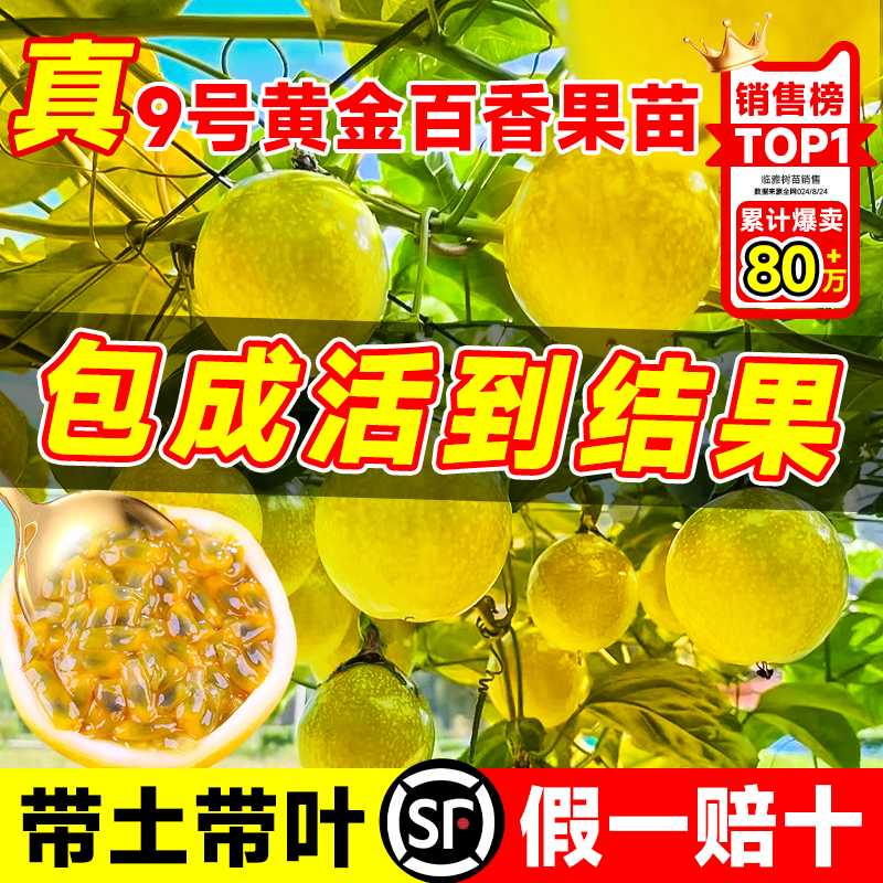 ڲŻƽļϽ9ż޽Ϸֲ 3á9Żƽ21.8Ԫ