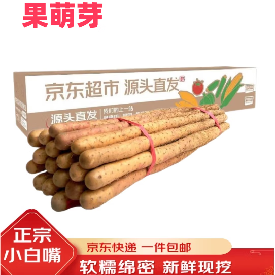 ���ش�ӱ�ɳ��С����ɽҩ ����5�� 30-40cm ����ɽҩ�߲�Դͷֱ������