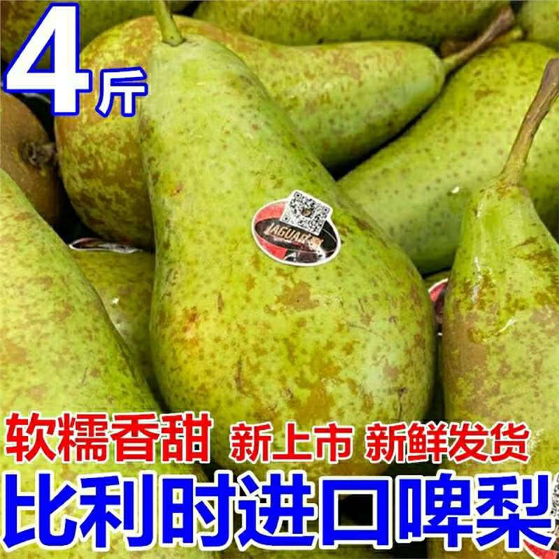比利時進(jìn)口啤梨荷蘭青啤梨軟糯香甜寶寶孕婦新鮮水果大果包郵 2斤裝（約4-6個）
