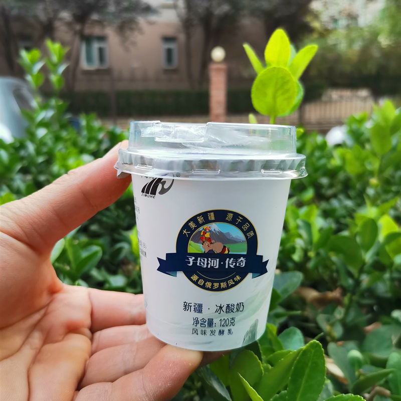 5折 新疆子母河传奇 冰酸奶冰淇淋 老酸奶 120克装12杯整箱