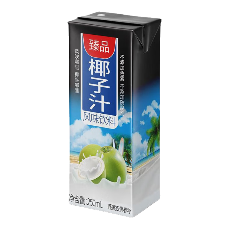 臻品椰子汁饮料 250ml*10盒