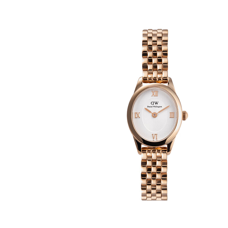 丹尼尔惠灵顿沈月同款DW手表女复古椭圆表女士石英手表欧美腕表七夕礼物送女友 冰川白椭圆表RG 25.5*22MM