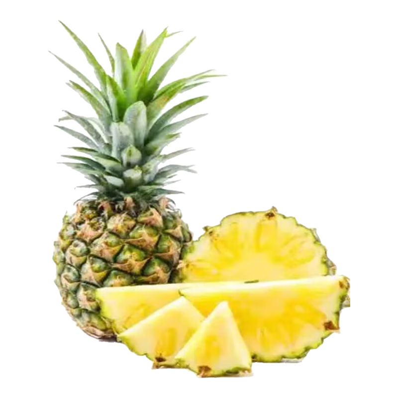 �㶫��ˮ��������ˮ�����ܷ���������ʵ���500g�� �����ʡ�1��װ ����1.3-1.5��