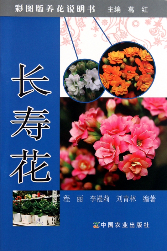 长寿花(彩图版养花说明书)