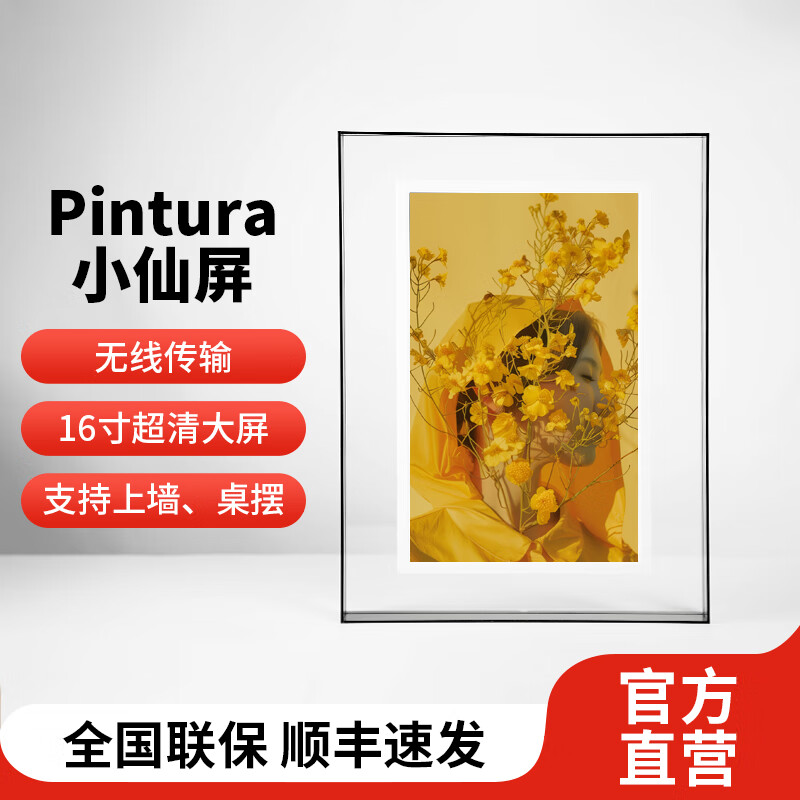 PIN·TURA16寸Pinpin数码相框电子相册摆台壁挂智能云画屏显示屏送人长辈父母礼物生日纪念母亲节礼品 16"Pad套装