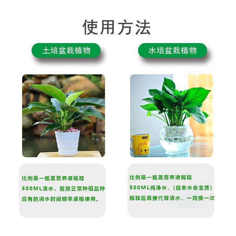 七叶莲营养液通用型七叶莲专用营养液花肥绿植水培植物烂根治黄叶 2瓶-浓缩型营养液*500ml