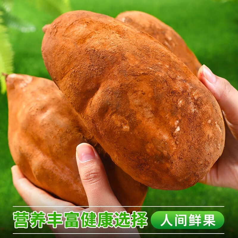 北森南屿云南雪莲果 新鲜水果应当季孕妇红心雪连果黄心 脆甜爽口 雪莲果3斤大果（单果约200g+）