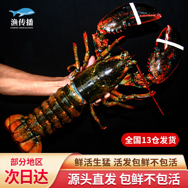 洫ʡôʿϺ1.3-1.4/ֻ ʲԴͷֱʵ258Ԫ