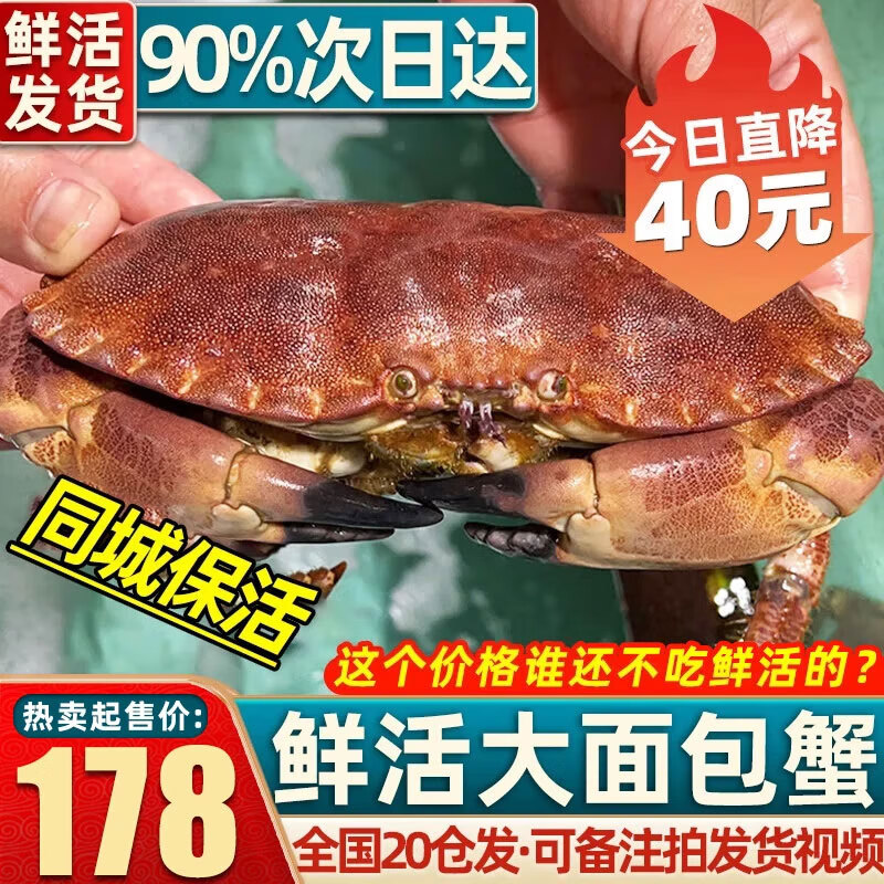 【活蟹同城包活次日達(dá)】面包蟹鮮活進(jìn)口大螃蟹黃金螃蟹禮盒 【精選】鮮活大蟹700-800g/只