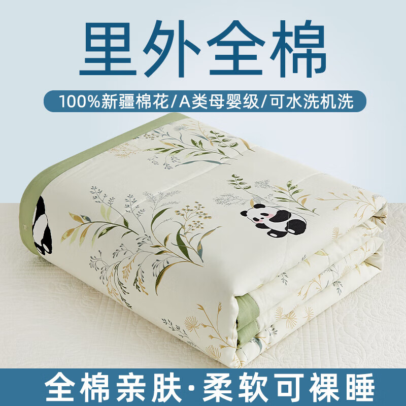 空调被200x230cm纯棉可机洗 空调被夏凉被纯棉全棉可机洗双人夏天 绿野仙踪 110x150里侎全棉棉花夏被