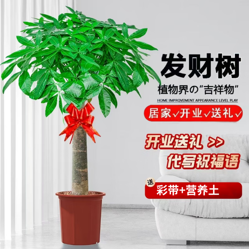 ���淢�����������Դ�����ֲ ���˷�����1-1.2�� ��ԭ������ Դͷֱ��