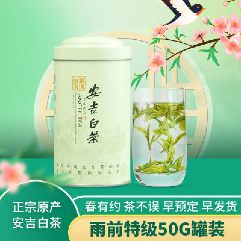 正宗安吉白茶雨前特级小罐装2024新茶溪龙贡茗50g珍稀白茶绿茶 50g
