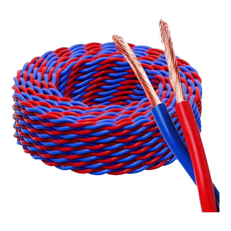 ��������ůRVS�������߹���ͭ����2о˫������ȼ ��Դ�� ����������������-RVS˫���� 2.5ƽ������ 5m 27.07Ԫ(������)