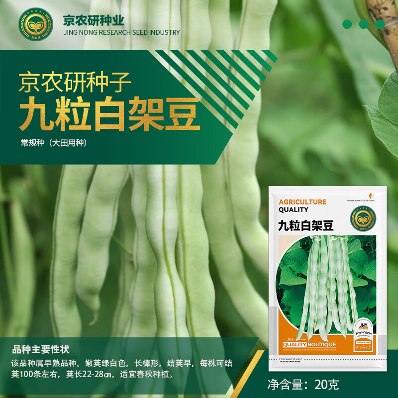 京農(nóng)研豆角種子長(zhǎng)豇豆苗油豆角無(wú)筋架豆白不老紫眉豆扁豆四棱豆蔬菜籽孑 九粒白架豆 20克