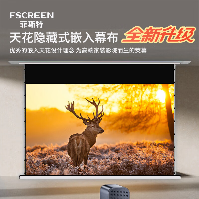 ��˹�� Ƕ��ʽͶӰĻ�� 100��2908Ԫ��2��(��1454Ԫ/��)