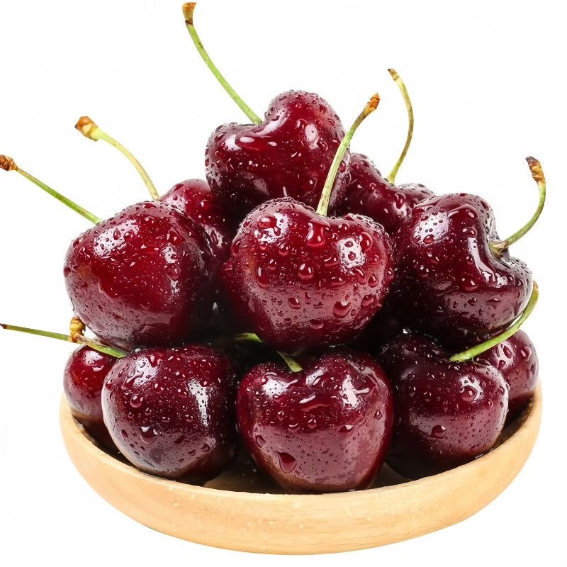 京营觅选智利进口车厘子【JD/顺丰-送货到家】当季新鲜年货春节送礼水果 3斤(净重) 高档礼盒带箱4斤 巨无霸3J 单果10-12g