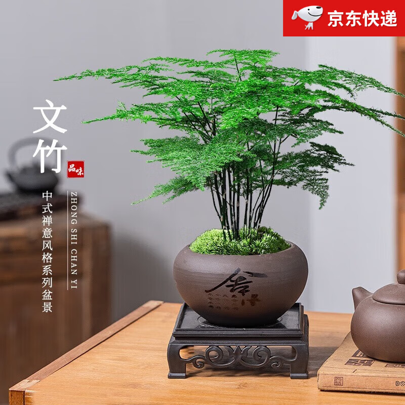 ��������������������ڼ��ļ�����԰����׮ֲ���׻���������´������� ����+��ɰ�����+̦޺+������