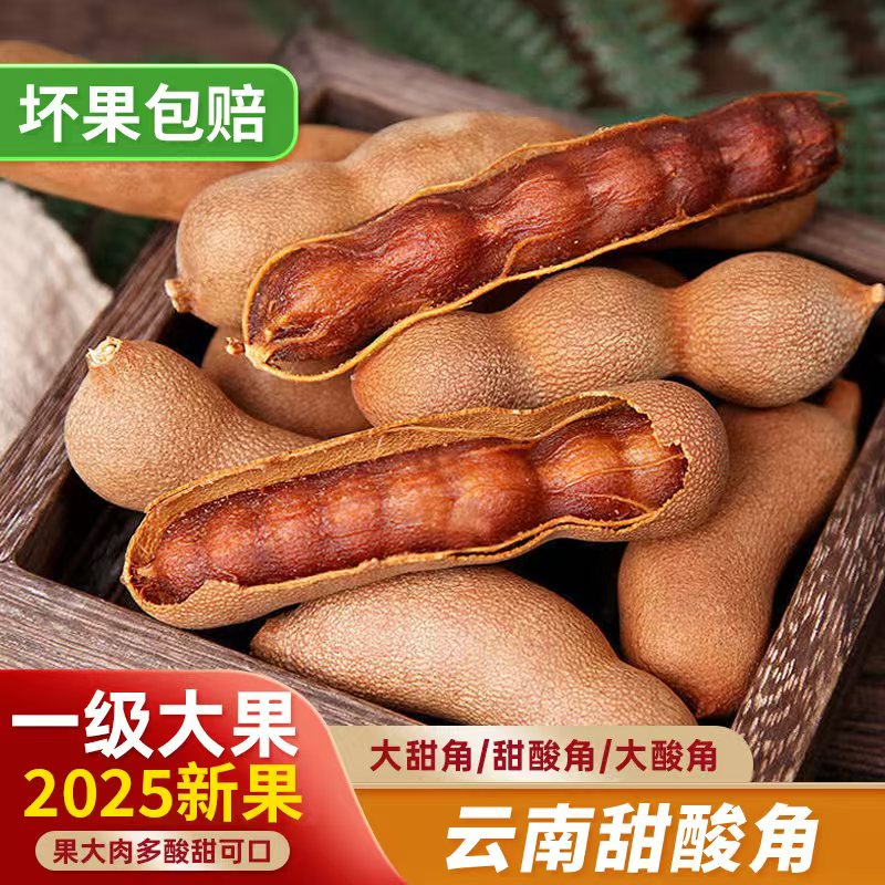 橙瑟酸角云南特產(chǎn)新鮮大甜角孕婦零食水果豆角南酸棗羅望子甜酸角 大甜角2斤(1000克)【人工挑選大