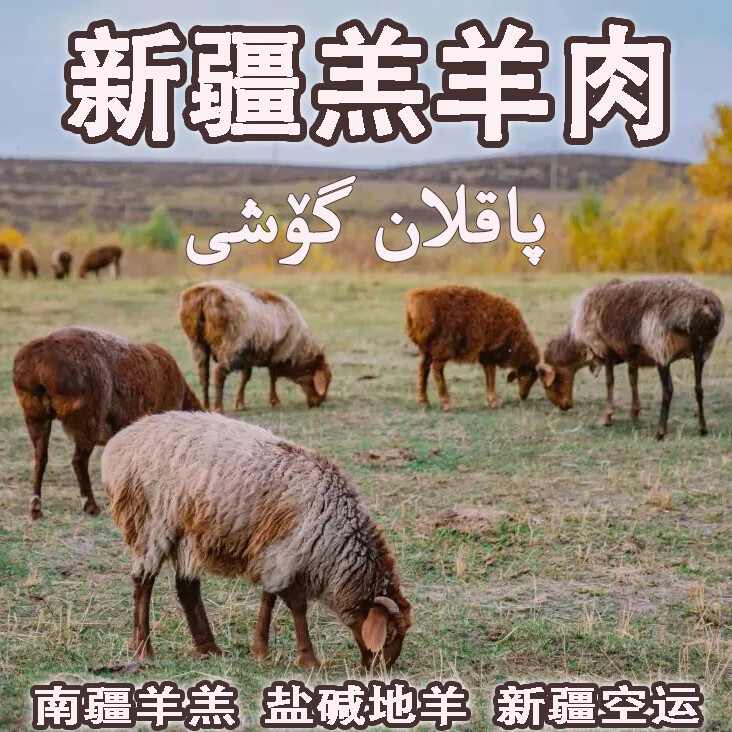 新疆盐碱地羊羔肉牧民散养羊肉鲜嫩无膻现杀整羊半羊羊腿羊排新鲜 整只羊14-16kg
