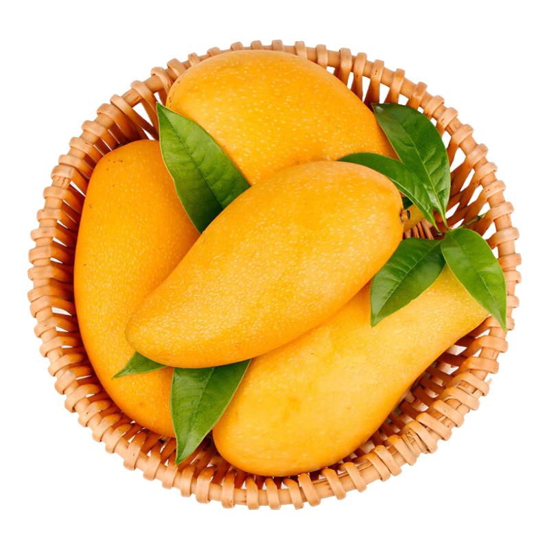 ZOCO海南新鮮大果三亞特產(chǎn)水果當(dāng)季芒果時(shí)令水仙 當(dāng)季水仙芒9斤禮盒裝