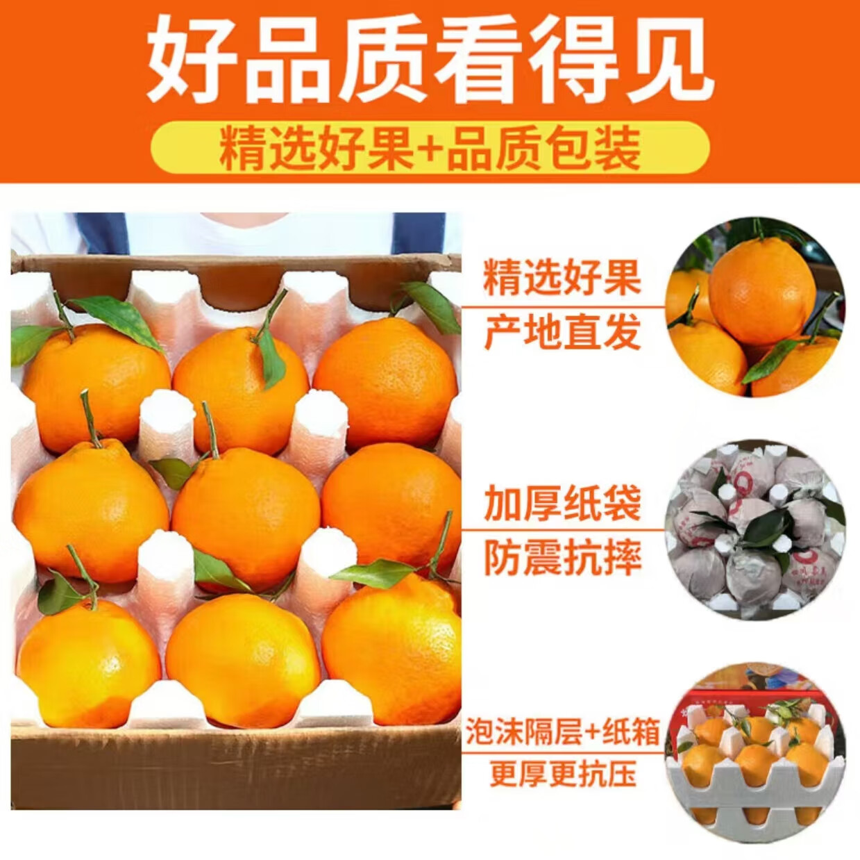 酷果汇四川春见耙耙柑粑粑柑桔橘子年货送礼盒当季彩箱新鲜水果直发 净重4.5斤-单果70MM+