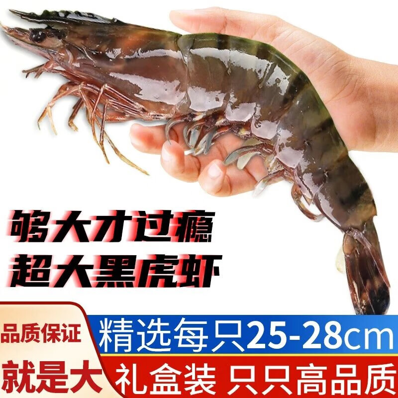 朵芙超大黑虎蝦大號 草蝦 鮮活生凍特大黑虎蝦老虎蝦海蝦禮盒生鮮蝦類 禮盒特大2只 25-28cm 400g(凈重)