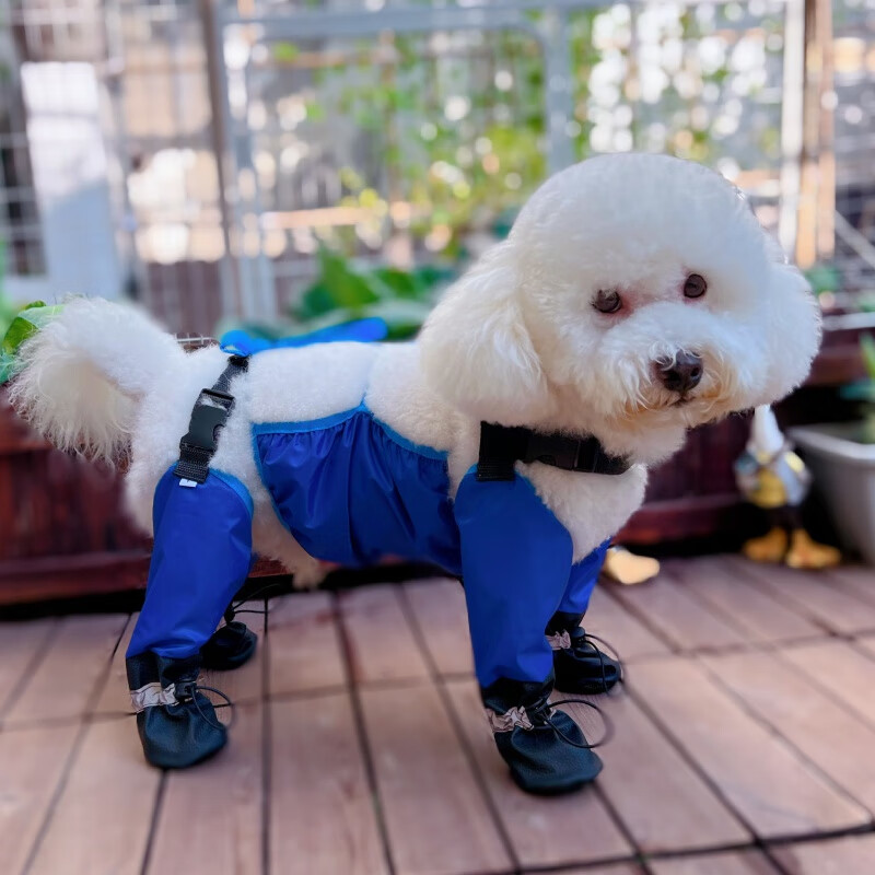 OIMG寵物狗鞋外出防臟神器防水防掉不掉背帶小型犬遛彎防臟小狗腳套 升級版可牽引寶藍(lán)色帶鞋防塵褲+ L(腿內(nèi)側(cè)20cm-后內(nèi)側(cè)21cm)
