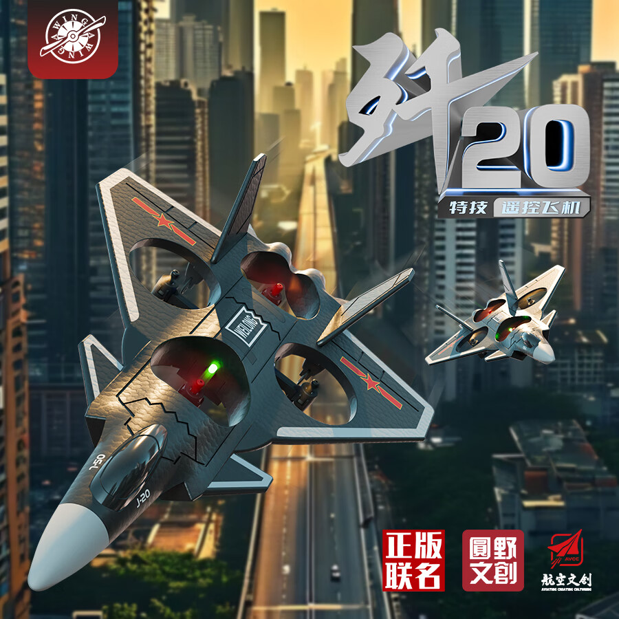 斯纳恩（Snaen）歼20遥控飞机儿童玩具耐摔续航无人泡沫战斗机男孩儿童圣诞节礼物