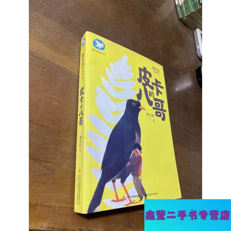 【二手9成新】皮卡八哥