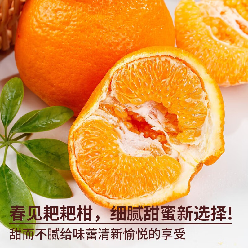 酷果汇四川春见耙耙柑粑粑柑桔橘子年货送礼盒当季彩箱新鲜水果直发 净重4.5斤-单果70MM+