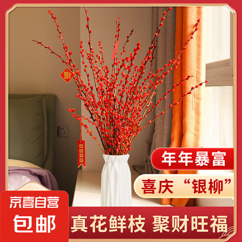 【送花瓶送挂饰】特价银柳真花鲜枝红色年宵花客厅室内干花摆件 【10枝】招财银柳-（不送挂件） 45cm