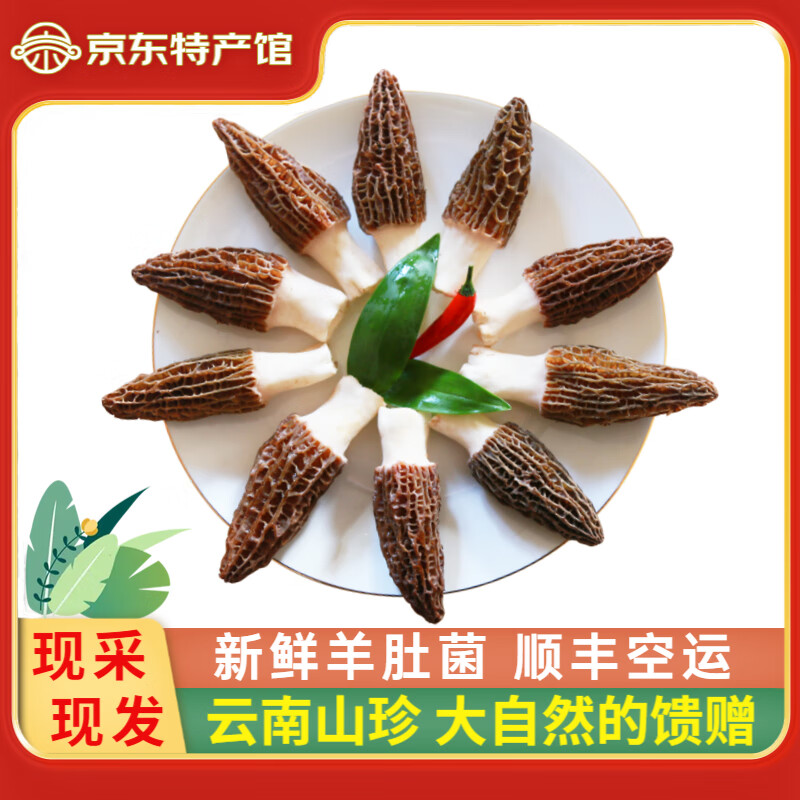 ���ڲ���������������ͷ��������Ǿ� �ز�ɽ�����ʾ������ʳ�� �߲� ��ѡ������500g 148Ԫ