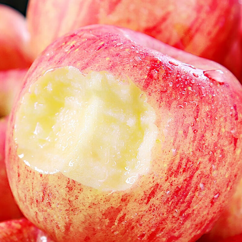 燕宾 值得您信赖的种植者 YB-YUANSHENGTAI【地标农品】洛川苹果红富士水果产地直发脆甜多汁净重4.5斤 【燕宾心选】净重4.5斤品质中果