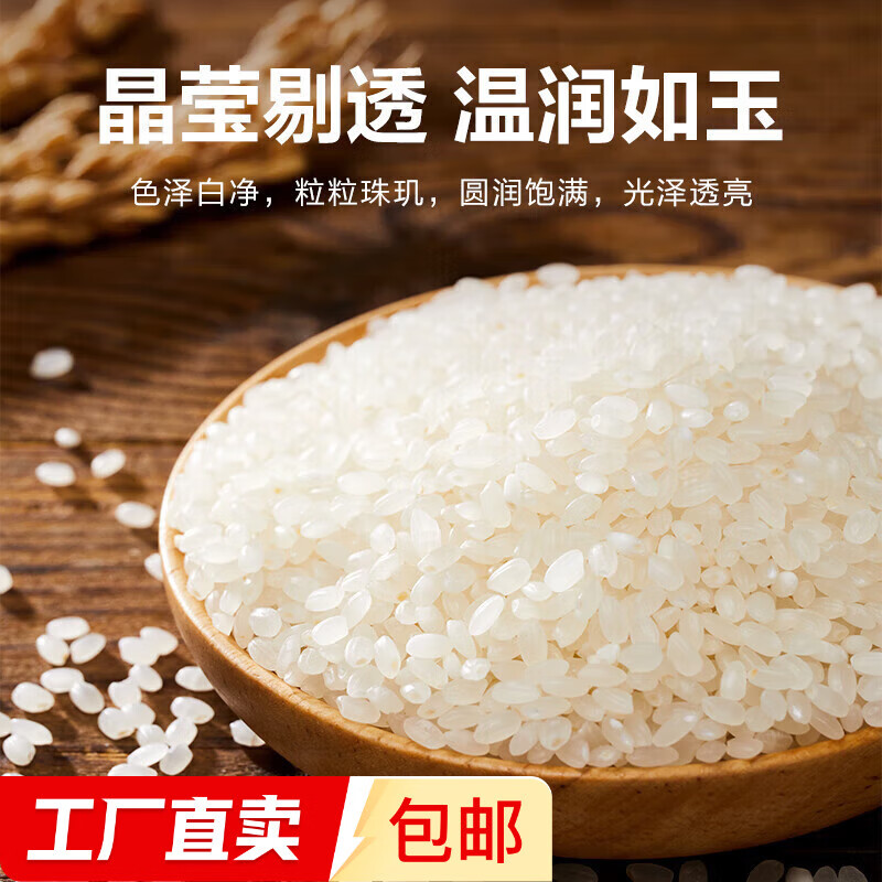 盘锦大米 东北大米圆粒珍珠米 当季新米【包装款式随机发货】 盘锦大米2.5kg【5斤】