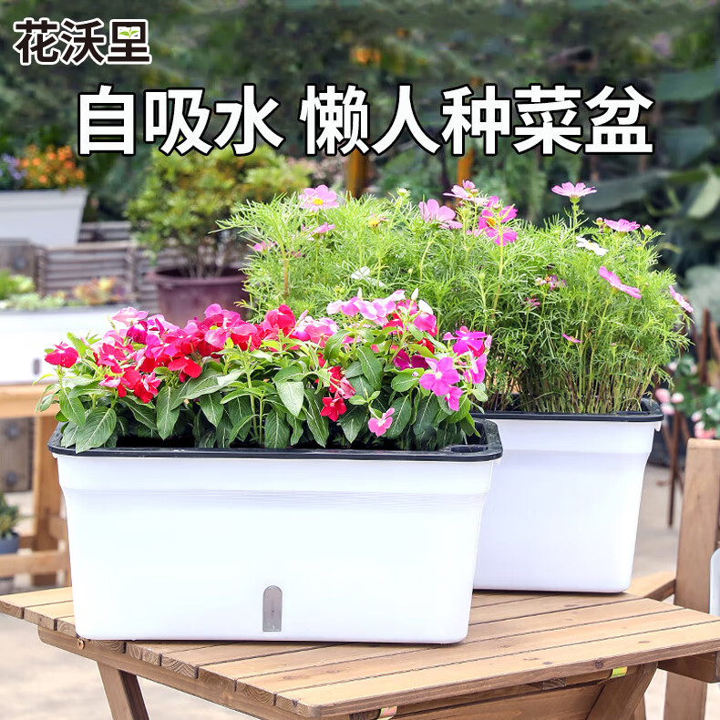 �����ﻨ��˫������ˮ�ֲ��� ���������ϼӺ���ֲ���ֲ���������ϻ��� 81.6Ԫ��2��(��40.8Ԫ/��)