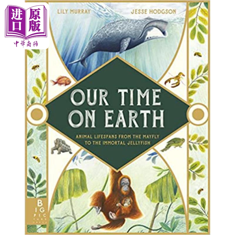 jesse hodgson our time on earth 地球的时间轨迹 英文原版儿童精品